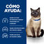 6 kg Hill's Prescription Diet z/d Food Sensitives pienso para gatos, , large indicador imagen numero 4